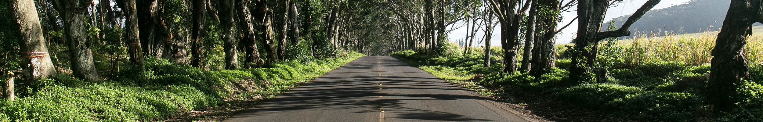 road road barrons caravans Barrons Caravans and Motorhomes road